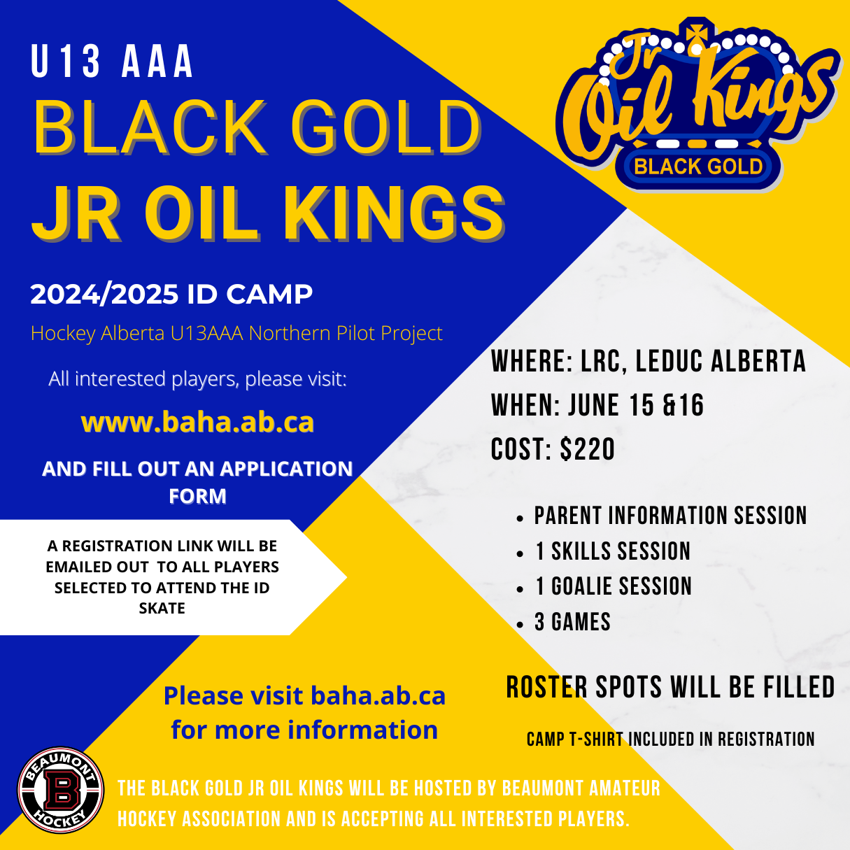 U13 AAA ID SKATE APPLICATION